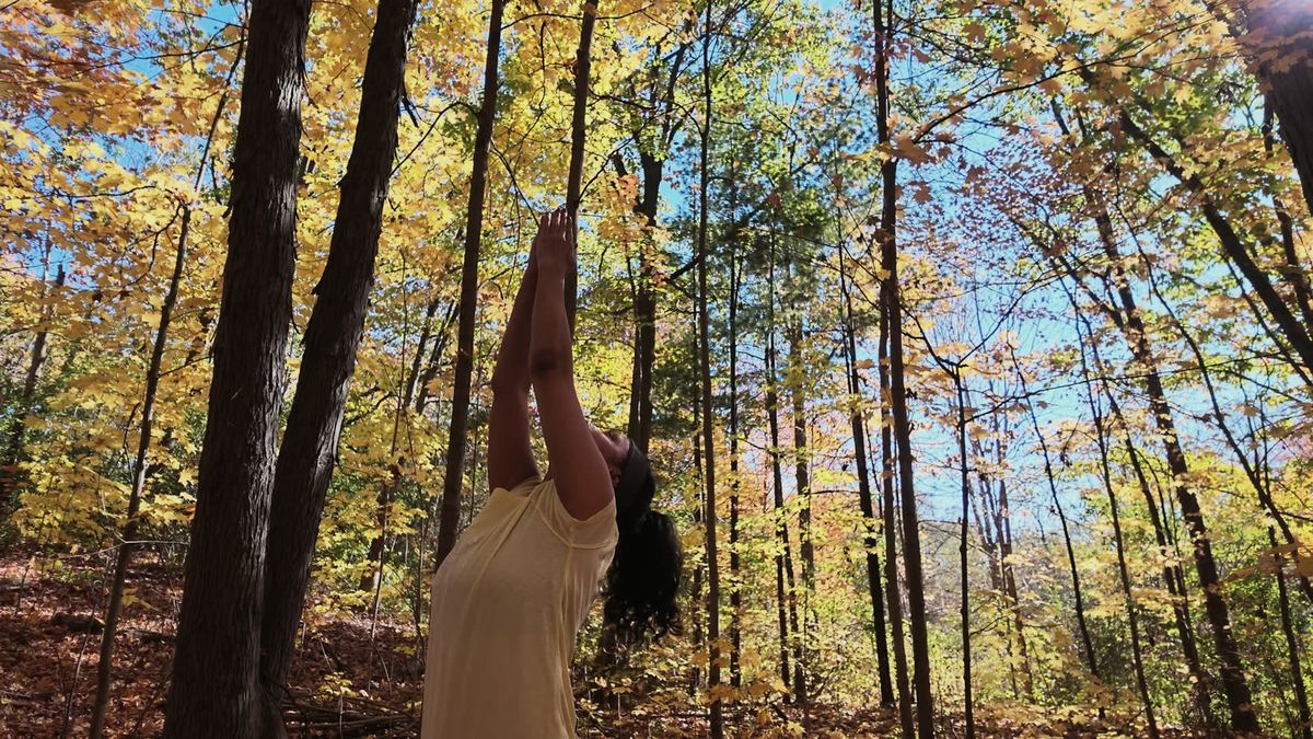 Sneh Lata reaching her arms up into a golden maple canopy